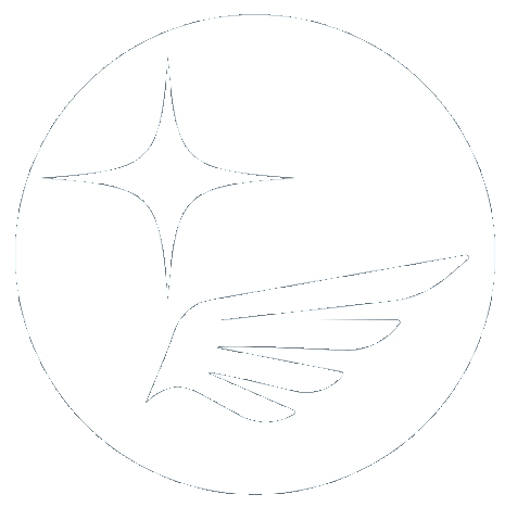 Valor Dynamics logo icon